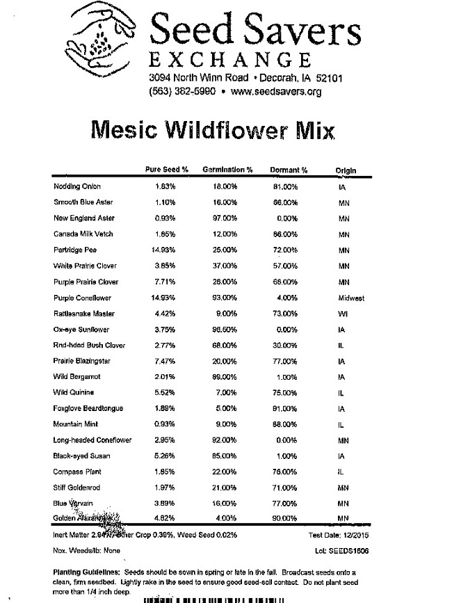 Mesic forb mix